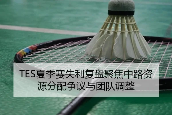 TES夏季赛失利复盘聚焦中路资源分配争议与团队调整